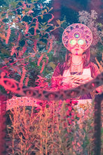 Load image into Gallery viewer, Specularis Mask
